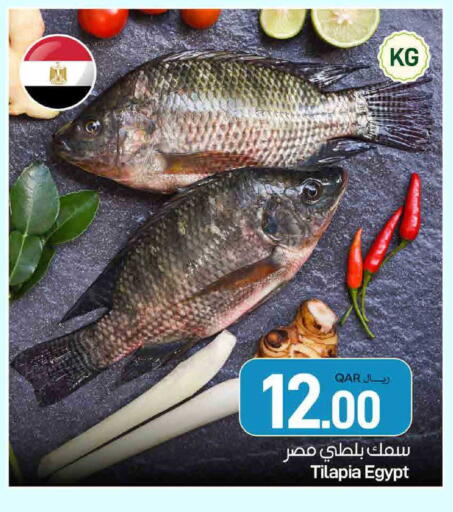 available at SPAR in Qatar - Umm Salal