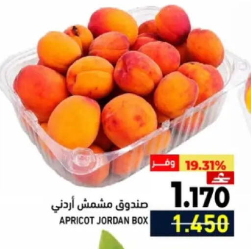 Apricot from Jordan available at رامز in عُمان - مسقط‎