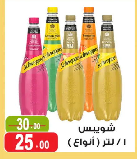 Lemon Peach Pineapple Mint available at غنيم ماركت in Egypt - القاهرة