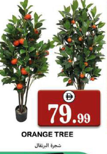 Orange available at Souk Al Mubarak Hypermarket in UAE - Sharjah / Ajman