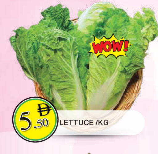 Lettuce available at المدينة in الإمارات العربية المتحدة , الامارات - الشارقة / عجمان