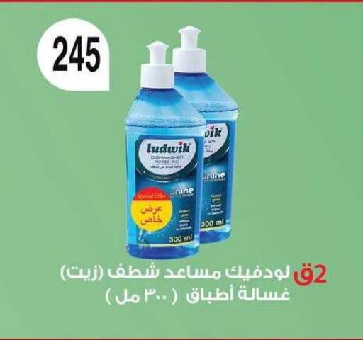 available at فتح الله in Egypt - القاهرة