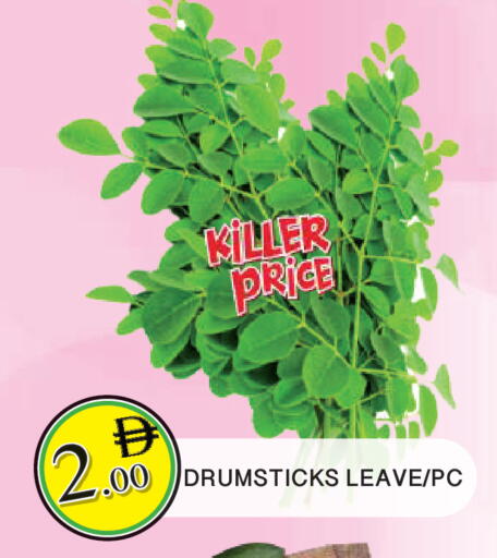 available at المدينة in الإمارات العربية المتحدة , الامارات - الشارقة / عجمان