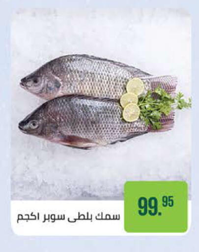 available at سعودي سوبرماركت in Egypt - القاهرة