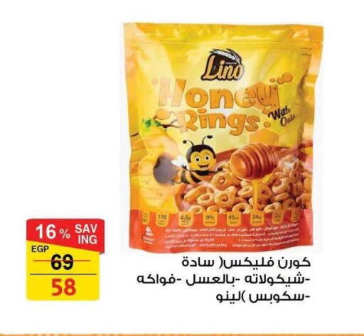 available at فتح الله in Egypt - القاهرة