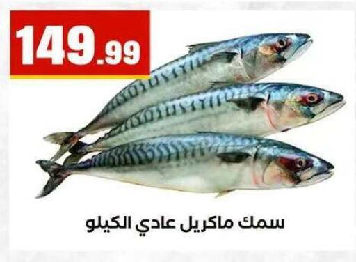 available at MartVille in Egypt - Cairo