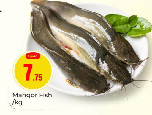 available at باريس هايبرماركت in قطر - أم صلال