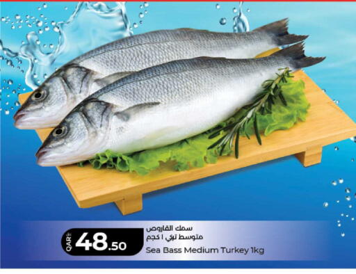 available at لولو هايبرماركت in قطر - الريان