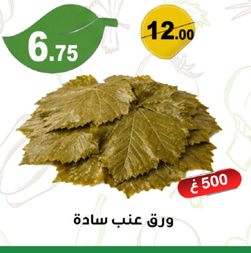 available at Smart Shopper in KSA, Saudi Arabia, Saudi - Abha