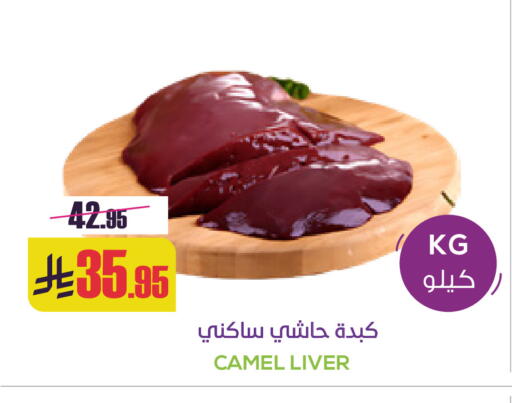 available at سبت in مملكة العربية السعودية, السعودية, سعودية - بريدة