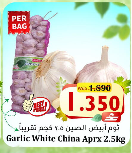 Garlic from China available at Al Muzn Shopping Center in Oman - Muscat