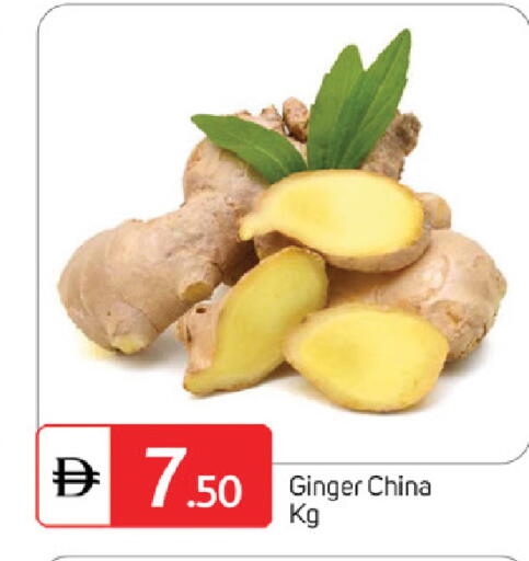 Ginger from China available at سوق طلال in الإمارات العربية المتحدة , الامارات - الشارقة / عجمان