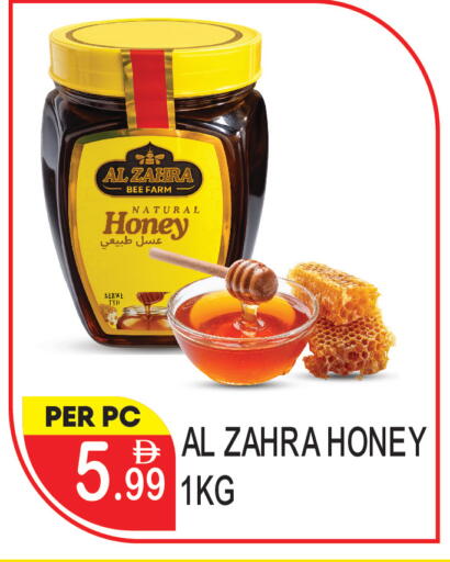 available at دريم لاند in الإمارات العربية المتحدة , الامارات - دبي