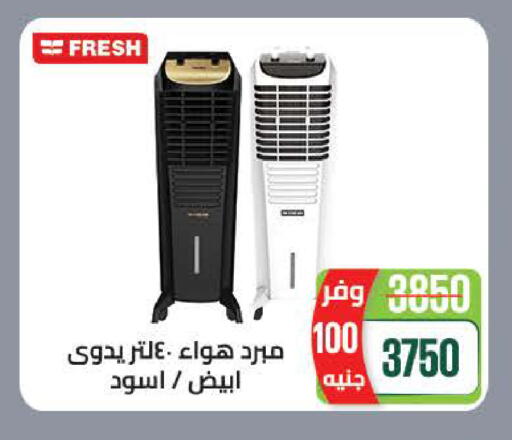 available at سعودي سوبرماركت in Egypt - القاهرة