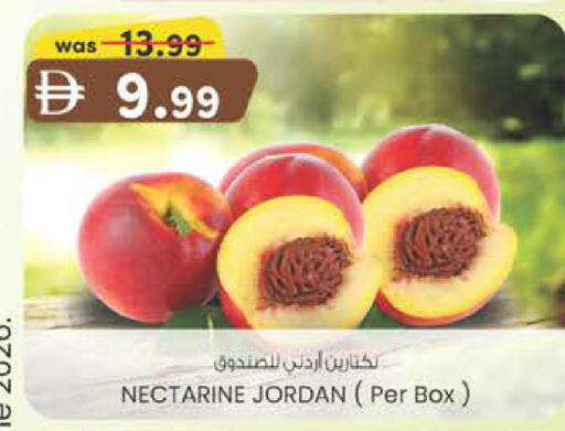 Nectarine from Jordan available at Safa Express Supermarket in UAE - Al Ain