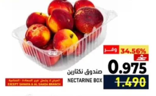 Nectarine available at رامز in عُمان - مسقط‎