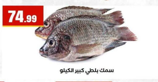 available at MartVille in Egypt - Cairo