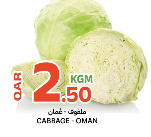 Cabbage from Oman available at البلدي اليوم in قطر - الشمال
