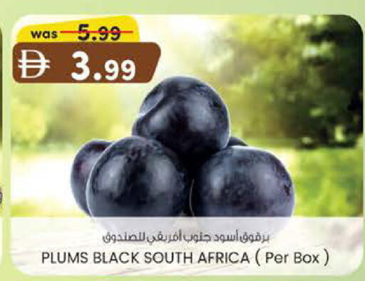Plums from South Africa available at صفا اكسبريس سوبرماركت in الإمارات العربية المتحدة , الامارات - أبو ظبي