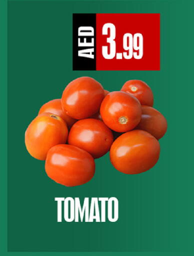 Tomato available at  RIVIERA SUPERMARKET L.L.C in UAE - Abu Dhabi