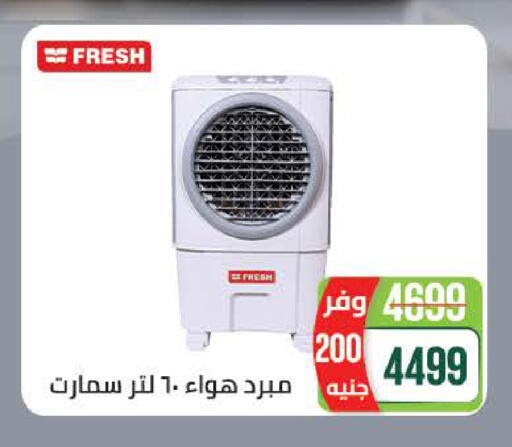 available at سعودي سوبرماركت in Egypt - القاهرة