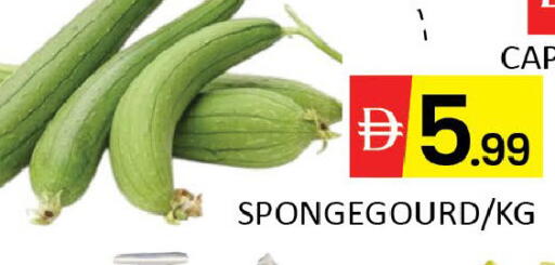 Mango available at Mango Hypermarket LLC in UAE - Dubai