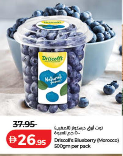 Blueberry BlueBerry from Morocco available at Lulu Hypermarket in UAE - Ras al Khaimah