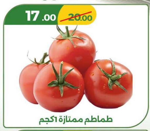 available at جرين تري هايبرماركت - سوهاج in Egypt - القاهرة