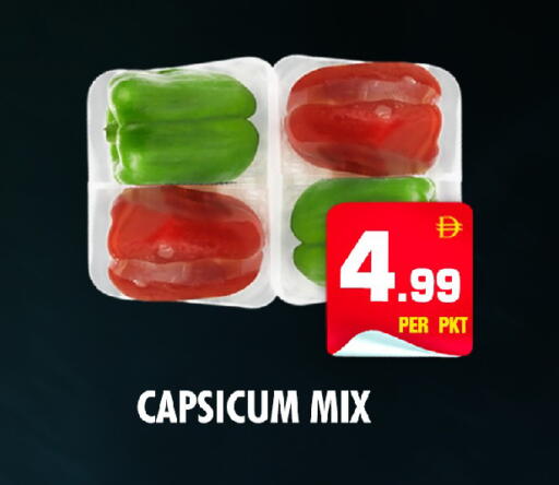 Capsicum available at نايت تو نايت in الإمارات العربية المتحدة , الامارات - الشارقة / عجمان
