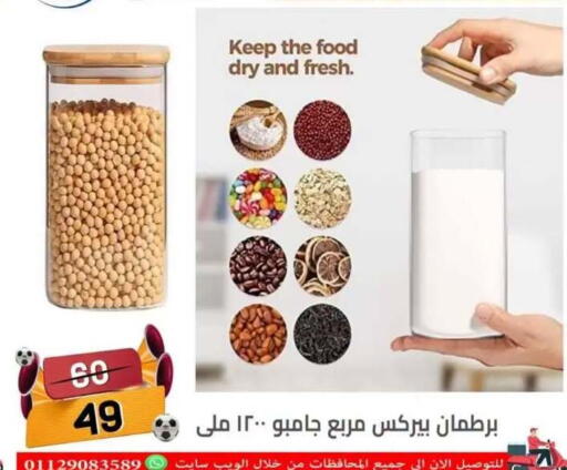 in Egypt - القاهرة