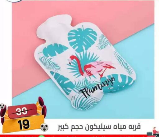 in Egypt - القاهرة