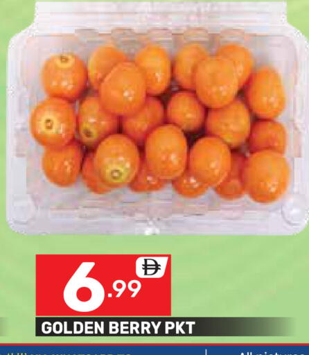 available at دريم نايت هايبرماركت in الإمارات العربية المتحدة , الامارات - دبي