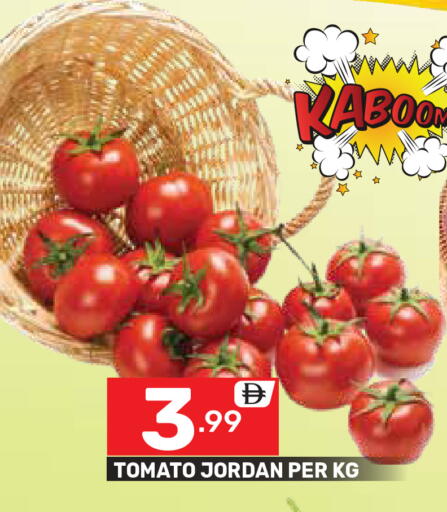 Tomato from Jordan available at دريم نايت هايبرماركت in الإمارات العربية المتحدة , الامارات - دبي