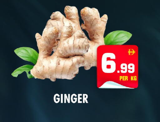 Ginger available at نايت تو نايت in الإمارات العربية المتحدة , الامارات - الشارقة / عجمان