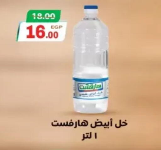 available at جلهوم ماركت in Egypt - القاهرة