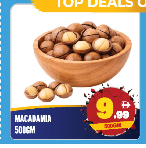 available at دريم لاند in الإمارات العربية المتحدة , الامارات - الشارقة / عجمان