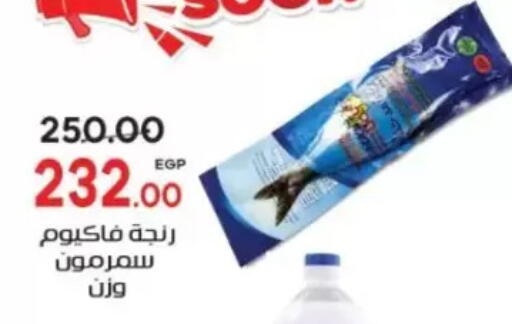available at Galhom Market in Egypt - Cairo