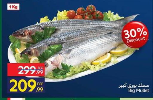 available at كارفور in Egypt - القاهرة