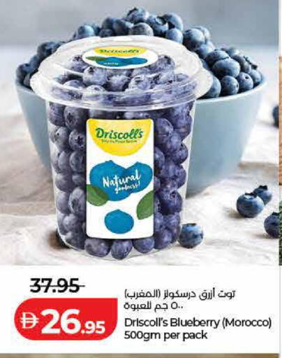 Blueberry BlueBerry from Morocco available at Lulu Hypermarket in UAE - Ras al Khaimah