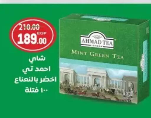 Mint available at Galhom Market in Egypt - Cairo