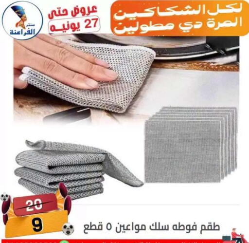 in Egypt - القاهرة