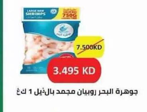 available at جمعية سلوى التعاونية in الكويت - محافظة الأحمدي