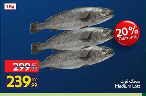 available at كارفور in Egypt - القاهرة