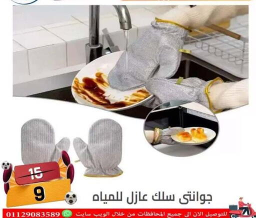in Egypt - القاهرة