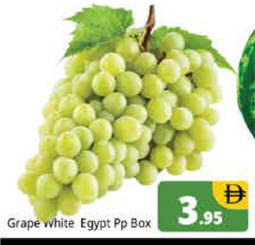 from Egypt available at هايبر ماركت باسونز in الإمارات العربية المتحدة , الامارات - دبي