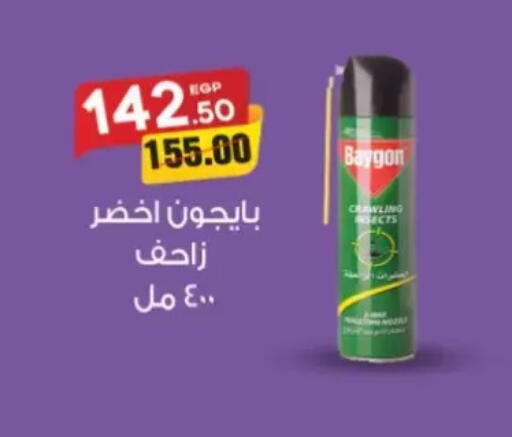 available at جلهوم ماركت in Egypt - القاهرة
