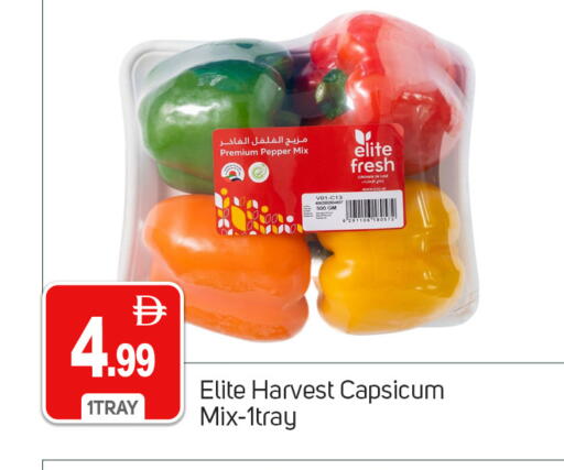 Pepper Capsicum available at TALAL MARKET in UAE - Dubai