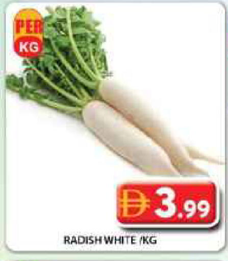 Radish available at جراند هايبر ماركت in الإمارات العربية المتحدة , الامارات - دبي