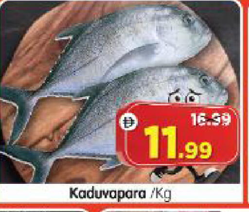 available at Al Madina Hypermarket in UAE - Abu Dhabi
