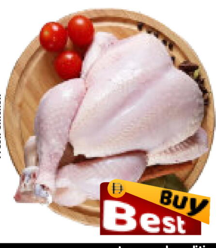available at ROYAL GULF HYPERMARKET LLC in UAE - Abu Dhabi